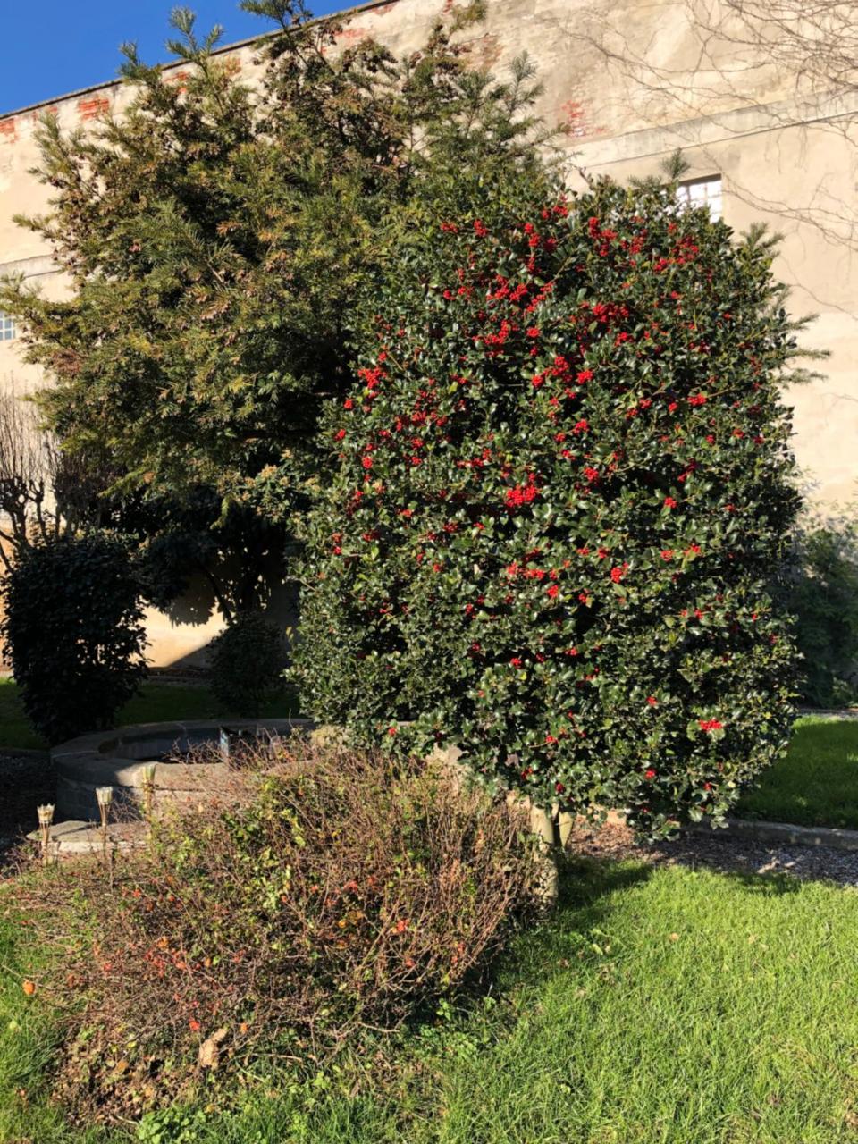 Apartament L'Ago Nel Pagliaio Turbigo Zewnętrze zdjęcie